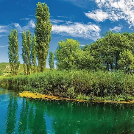 公寓 With Sea View Xii 布拉采