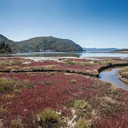 公寓 With Sea View Xii 布拉采